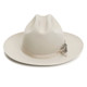 product variation STETSON 1865 Distressed Silverbelly Royal Deluxe Open Road Hat (36266175) image