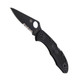 product variation SPYDERCO 2.875in Delica 4 Folding Knife (C11PSBBK) image
