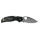 product variation SPYDERCO Sage 5 Alzheimers Lightweight 3in Black Knife (C123PBK) image