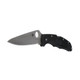 product variation SPYDERCO 3.938in Endura 4 Lightweight Folding Knife (C10PSBK) image