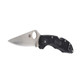 product variation SPYDERCO Delica 4 2.875in Lightweight Black Folding Knife (C11PBK) image