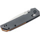 KERSHAW Iridium 3.4in Folding Knife (2038)