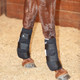product variation CLASSIC EQUINE Quick Wraps (CEQW) image