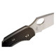 product variation SPYDERCO 2.25in Dragonfly 2 Folding Knife (C28PBK2) image