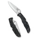 product variation SPYDERCO 3.8in Endura 4 Lightweight Folding Knife (C10PBK) image