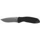 product variation KERSHAW Blur 3.375in CPM-S30V Drop Point Folding Knife (1670S30V) image