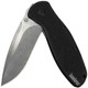 product variation KERSHAW Blur 3.375in CPM-S30V Drop Point Folding Knife (1670S30V) image