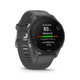 GARMIN Forerunner 255 Slate Gray Smartwatch (010-02641-00)