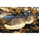 product variation WHITE ROCK DECOYS Headless Blue Goose Windsock Decoys, 12-Pack (BG) image