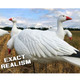 product variation WHITE ROCK DECOYS Snow/Blue EVAC Fullbody Goose Decoys, 12-Pack (EVACSOB12) image