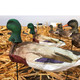 product variation WHITE ROCK DECOYS Mallard Windsock Decoys, 12-Pack (MDH) image