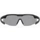 LEUPOLD Sentinel Matte Black/Shadow Gray Flash Eyewear (182669)