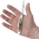 product variation CASE XX Amber Bone SS Medium Stockman Knife (00042) image