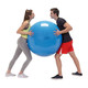 GYMNIC Physio 95 Blue Exercise Ball (9595)