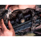 product variation NIGHTFORCE ATACR 4-16x50mm F2 Mil-R Reticle Riflescope (C543) image