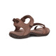product variation Acorn image