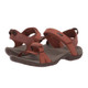 product variation Tortoise Shell image
