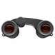 product variation ZEISS Victory Pocket 10x25 Black Binoculars (522039-9901-000) image