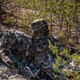 product variation Camo Phantomleaf WASP I Z1B image