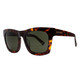 product variation Tortoise/Gray Polarized image