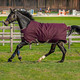 product variation HORSEWARE IRELAND Amigo Hero Ripstop 50g Fig/Silver Turnout Blanket (AAPA91-GFI0) image