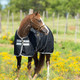 product variation HORSEWARE IRELAND Amigo Stock Horse Med 200g Black/Silver/Black Turnout Sheet (AARA2S-KIK0) image