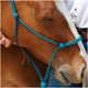 product variation Baby Blue image