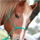 product variation Teal image