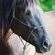 product variation Vaquero image