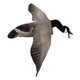 product variation WHITE ROCK DECOYS Deck Boss Flying Canada Goose Flyer (FLYCG) image