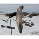 product variation WHITE ROCK DECOYS Deck Boss Flying Canada Goose Flyer (FLYCG) image