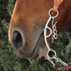 product variation PROFESSIONAL'S CHOICE Derby 6.75in Cheek 5.75in Mouth 3 Pce Smooth Bit (BRB-303) image