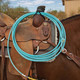 product variation PROFESSIONAL'S CHOICE Bungee Rope Holder (RH100) image