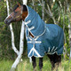 product variation HORSEWARE IRELAND AmEco 1200D Plus 0g Teal/Gray Turnout Blanket (AAROJ0-CTJ0) image