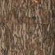 product variation Mossy Oak Bottomland image
