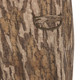 product variation Mossy Oak Bottomland image