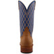 product variation TWISTED X Men's 12in Hooey Inca Gold/Twilight Blue Boots (MHY0036) image
