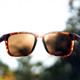 product variation Matte Tortoise/Brown image