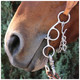 product variation PROFESSIONAL'S CHOICE Futurity 5.5in Chain Bit (BRB-101) image