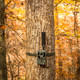 product variation BROWNING TRAIL CAMERA Defender Wireless Pro Scout Max HD AI 46MP Trail Camera (BTC-PSMHD-AI) image
