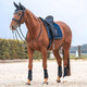 product variation BACK ON TRACK Black Splint Boots (208000) image