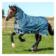 product variation HORSEWARE IRELAND Amigo AmECO 12 Plus (100g Light) Teal/Grey Turnout (AAROJ2-CTJ0) image