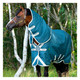 product variation HORSEWARE IRELAND Amigo AmECO 12 Plus (100g Light) Teal/Grey Turnout (AAROJ2-CTJ0) image