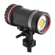product variation SEALIFE Sea Dragon Duo 10K+ Color Boost Underwater Photo/Video Light Set (SL695) image