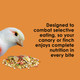 product variation KAYTEE Fiesta Canary and Finch Food (100036925) image