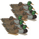 product variation AVERY Essential Series Mallards, 12-Pack (70010) image