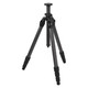product variation SWAROVSKI CCT Compact Carbon Tripod (49278) image