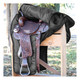 product variation PROFESSIONAL'S CHOICE Western Saddle Case (HA-915-BLA) image