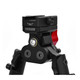 product variation Lite Legs image