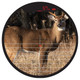 product variation BURRIS Oracle X 2-7x32mm Crossbow Rangefinding Scope (300410) image